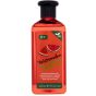 XHC Xpel Hair Care Watermelon Volumising Shampoo 400ml
